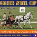 BRISOU Anne Violaine FRA 4th Place Dressage Golden Wheel CUP Single Driving CAI-A Haras De La Nee France, 48,90 Points